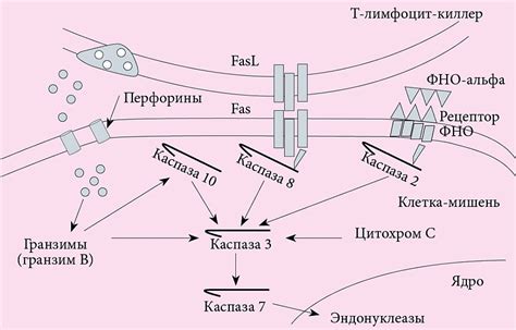 Антикражные механизмы в действии