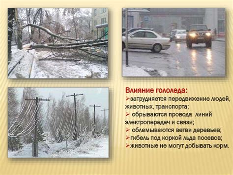 Бахурница: уникальность и влияние на жизнь людей