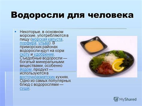 Богатый минеральными веществами состав