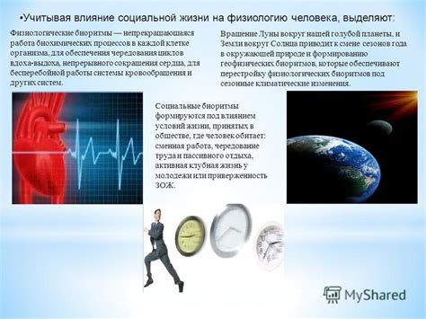 Влияние вакуумных методик на физиологию организма