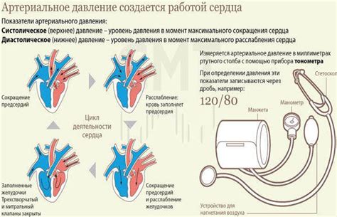 Влияние низкого давления на работоспособность