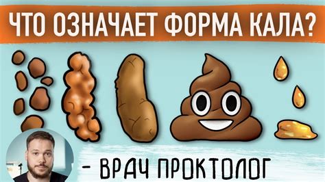 Влияние питания на процесс выделения кала