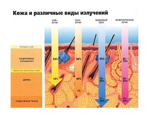 Воздействие ультрафиолетовых лучей на кожу