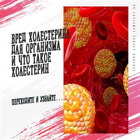 Вред повышенного уровня холестерина для организма