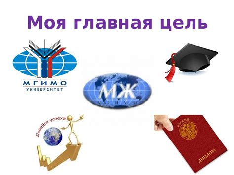 Выбор мяса - ключ к успеху