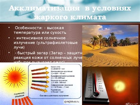 Высокая температура и сухость воздуха