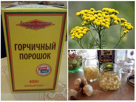Горчица как средство против болезней растений