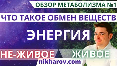 Зависимость веса от метаболизма