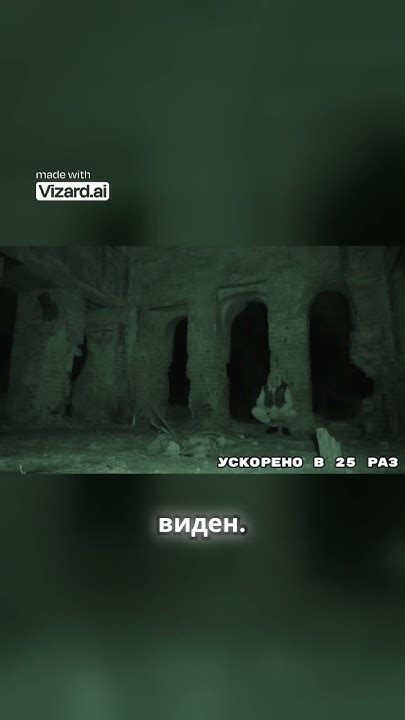 Загадочные звуки ночи