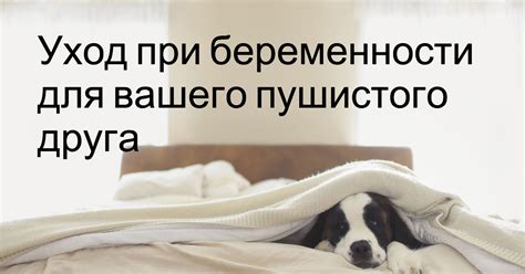 Избегайте слишком интенсивных нагрузок