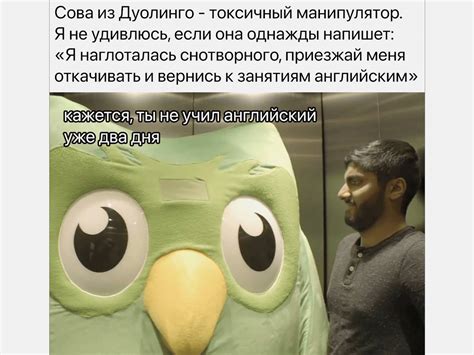 Как мемы используются в маркетинге