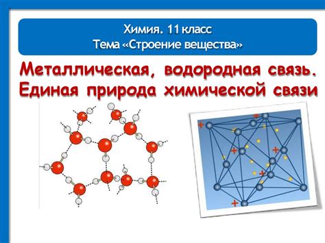 Квантовая механика и водородная связь