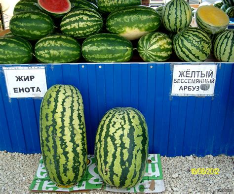 Кормушки-арбузики