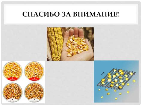Методика определения размера мяча