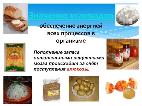 Обеспечение питательными веществами