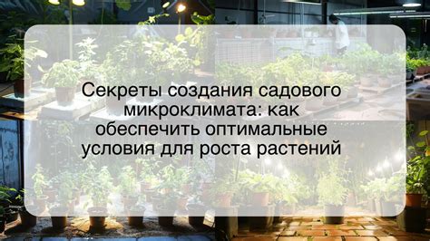 Оптимальные условия для роста