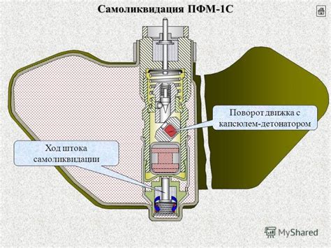 Основные применения лепестковой мины