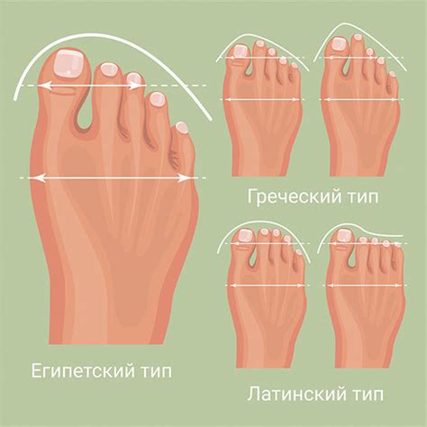 Особенности употребления пищи для улучшения формы ног и рук