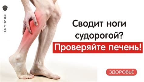 Почему у вас может возникнуть онемение ноги