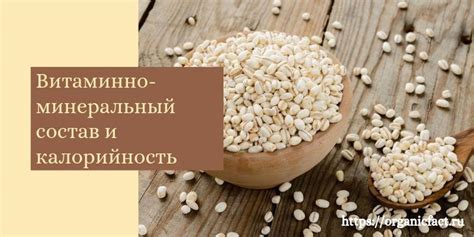 Противопоказания и рекомендации