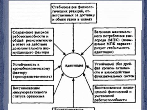 Процесс амортизации и адаптация к различным дорожным условиям
