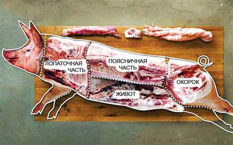 Разрезание мяса на части: ключевые нюансы