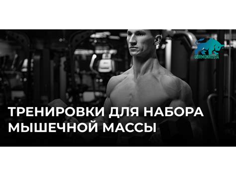 Регулярные тренировки: основа для набора мышечной массы