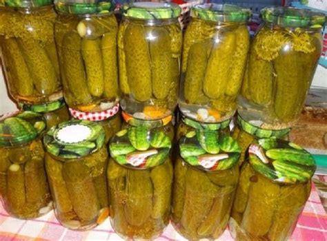 Рецепт маринования огурцов для поддержания фигуры