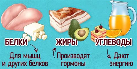 Роль отдыха для организма