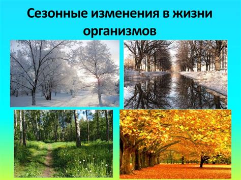 Сезонные изменения и окружающая среда