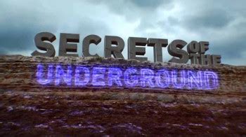 Секреты обитателей подземелья