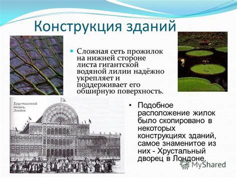 Создание прожилок и жилок
