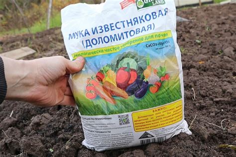 Способы улучшения урожайности с помощью доломитовой муки