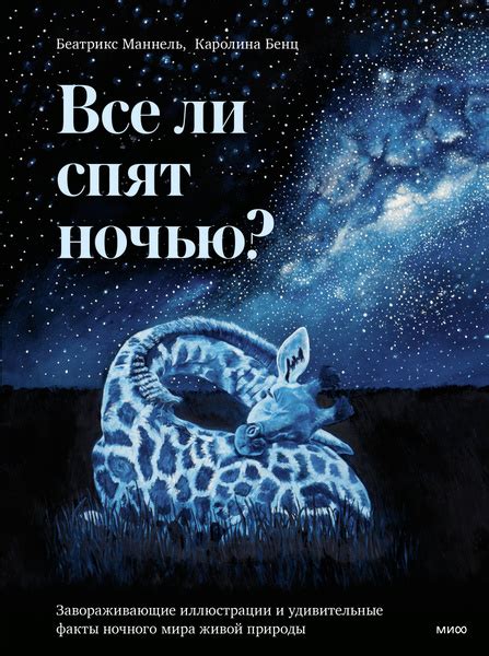 Удивительные события ночного часа