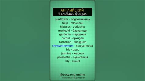 Улучшение устной речи