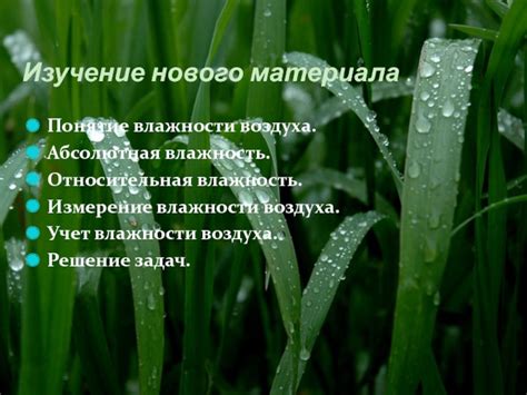 Учет влажности субстрата