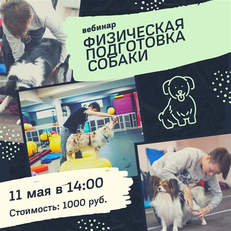 Физическое здоровье собаки