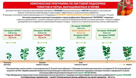 Частота подкормки и ухода