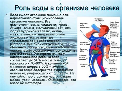 Что влияет на накопление воды в организме