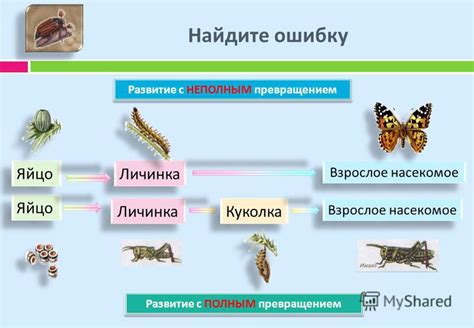Эволюция и превращение