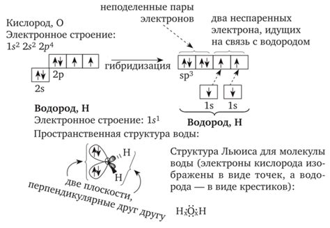 Электронное строение молекулы