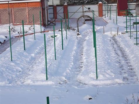 В середине зимы: проверка и дополнительное укрытие