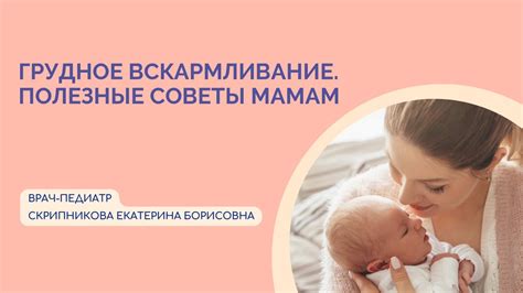 Грудное вскармливание и дополнительное кормление