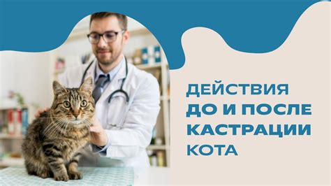 Ежедневный уход за кошкой и собакой второго класса