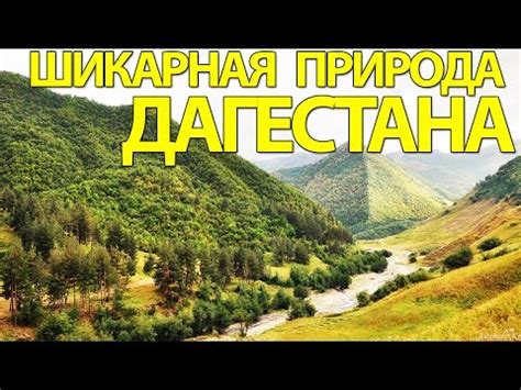 Изучайте природу Дагестана
