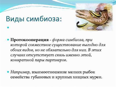 Изучение характеристик разных фаз паразитов