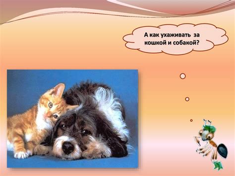 Как правильно ухаживать за кошкой и собакой второго класса