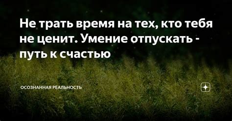 Не трать время на поиск информации, узнай все о машине всего за несколько кликов!
