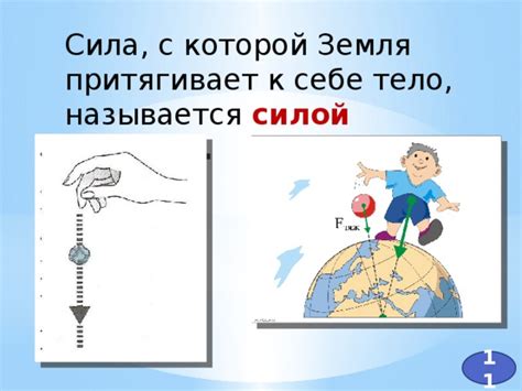Объяснение феномена: земля притягивает тело на ветке, но слабо