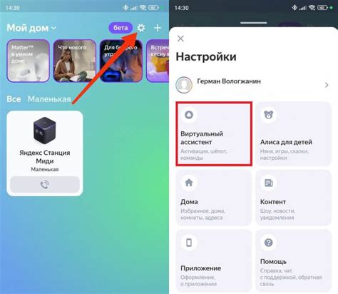 Основные шаги для настройки Алисы